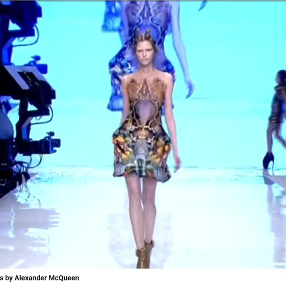 Alexander McQueen Spring 2010 Plato’s Atlantis Moth Camouflage Long Sleeve Dress